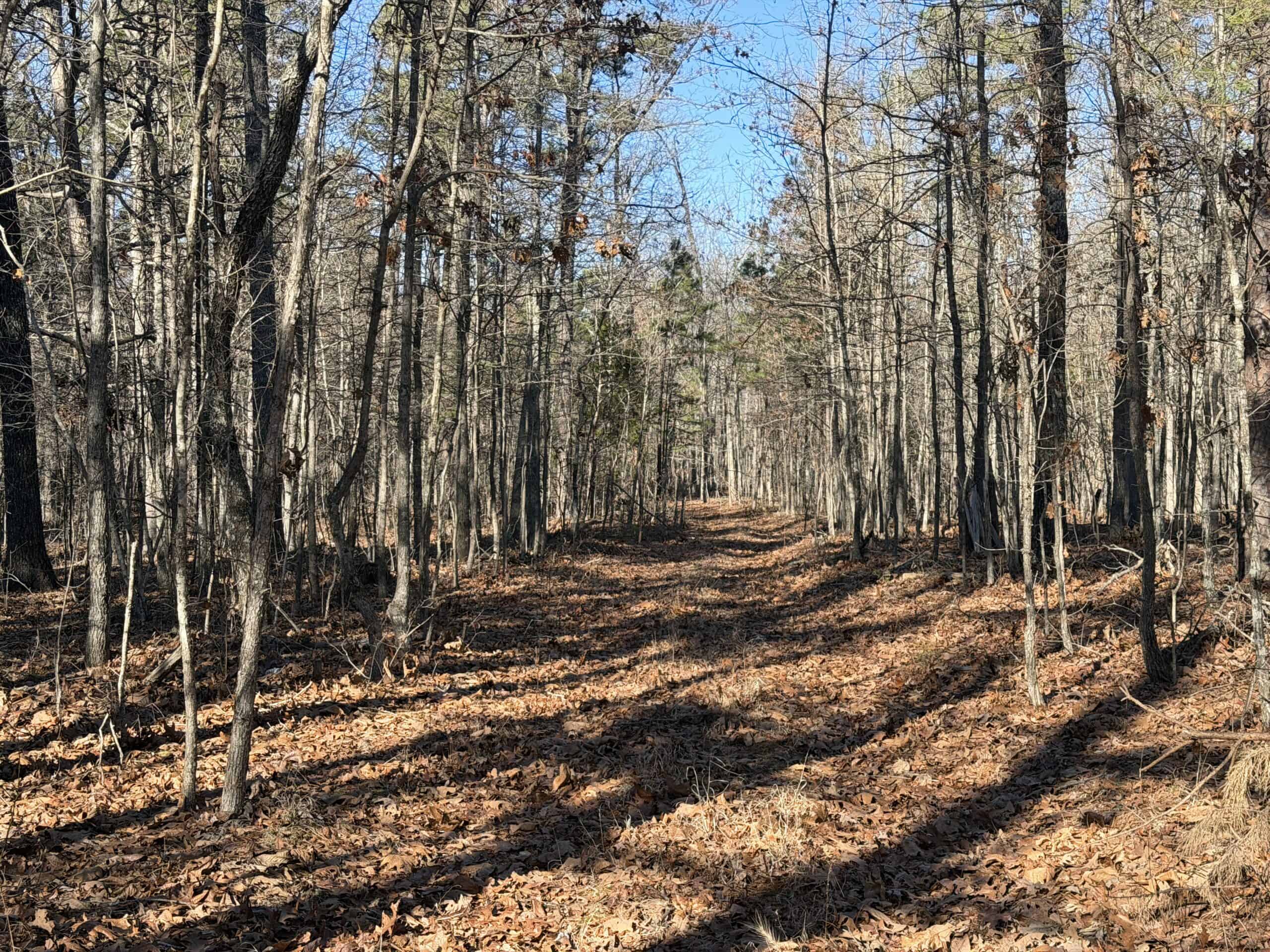 Land for Sale in Salem, Missouri – Parcel 2