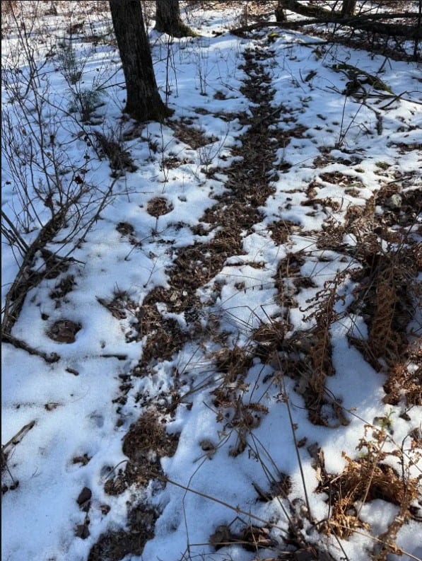 40-Acre Recreational Hunting Tract in Central Monroe County