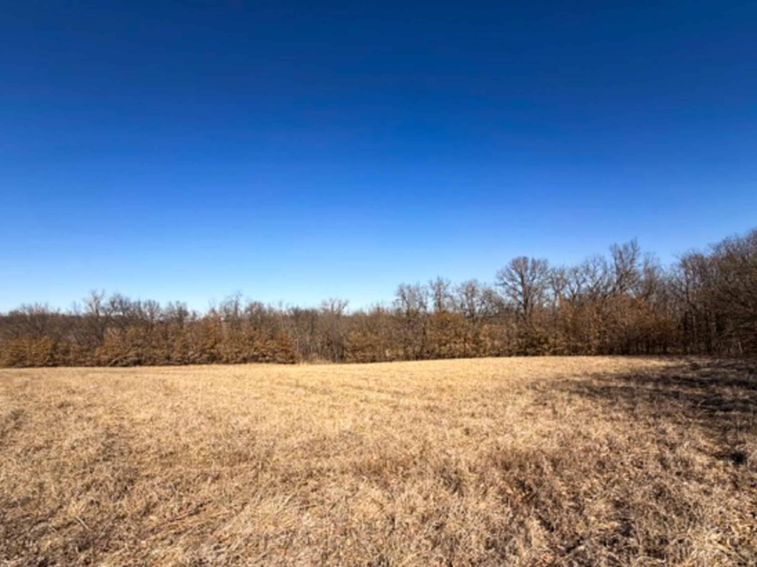 19± Acres of Land for Sale in Daviess County, Missouri