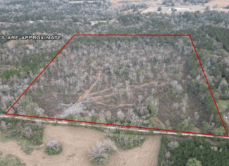 36 Acres in Pike County, Mississippi – Scenic Rural Retreat