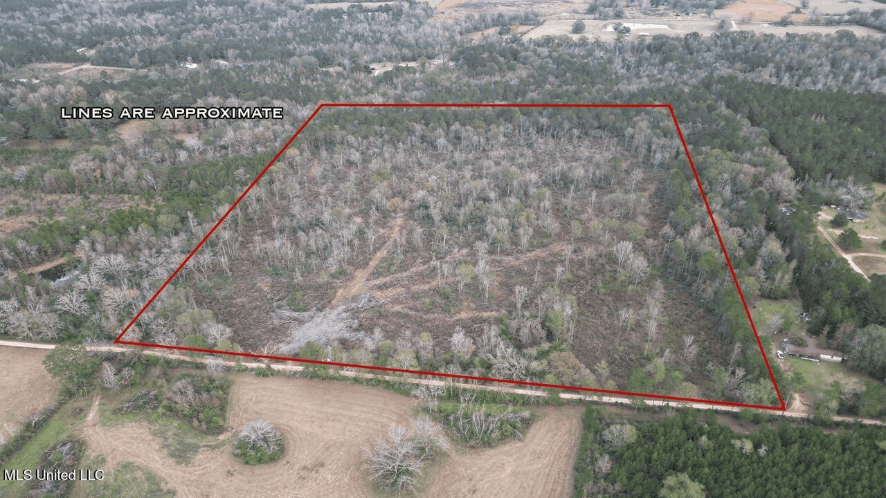 36 Acres in Pike County, Mississippi – Scenic Rural Retreat