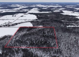 43+/-  Acre Marathon County Hunting, Timber and Rec Tract For Sale