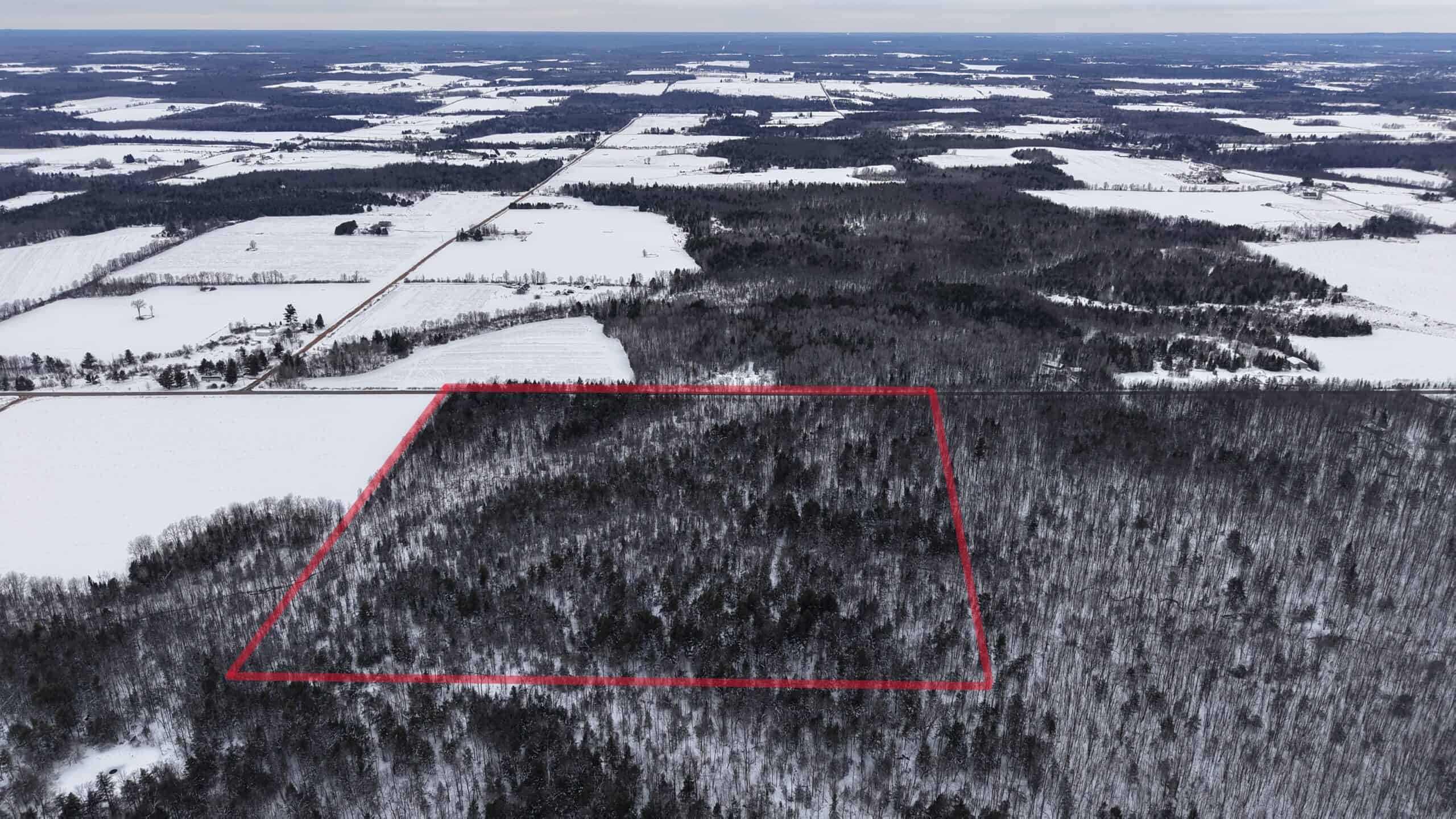43+/-  Acre Marathon County Hunting, Timber and Rec Tract For Sale