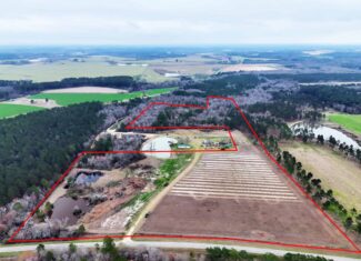 This 38 acres offers a hunting retreat or recreational getaway in Worth Cty GA