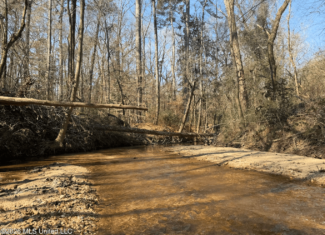 Land for Sale in Simpson County