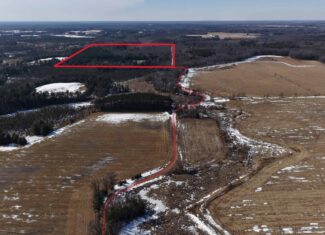 Portage County Wisconsin 80 Acres of Hunting Land for Sale