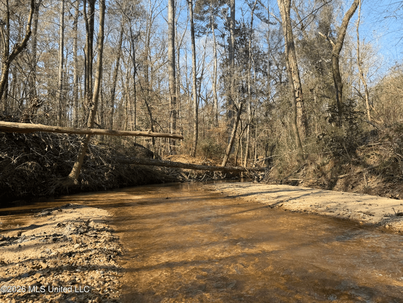 Land for Sale in Simpson County
