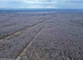 431± Acres with Calcasieu River Frontage in Calcasieu Parish
