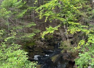 50 Acre Parcel in Downeast Maine – Northfield