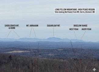 Expansive Mountain-View Acreage with Timber Value & Road Frontage