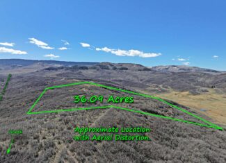 36 Acres in Harrison Creek, Collbran,  CO