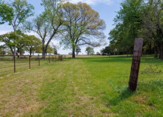 East Texas Recreational Ranch Near Ben Wheeler in Van Zandt County