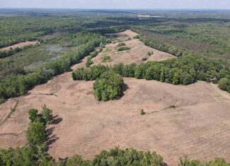LAND FOR SALE IN TN, DEER & DUCK HUNTING, FENCED PASTURE