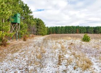 160± acre Monroe County property Located off dead end road,