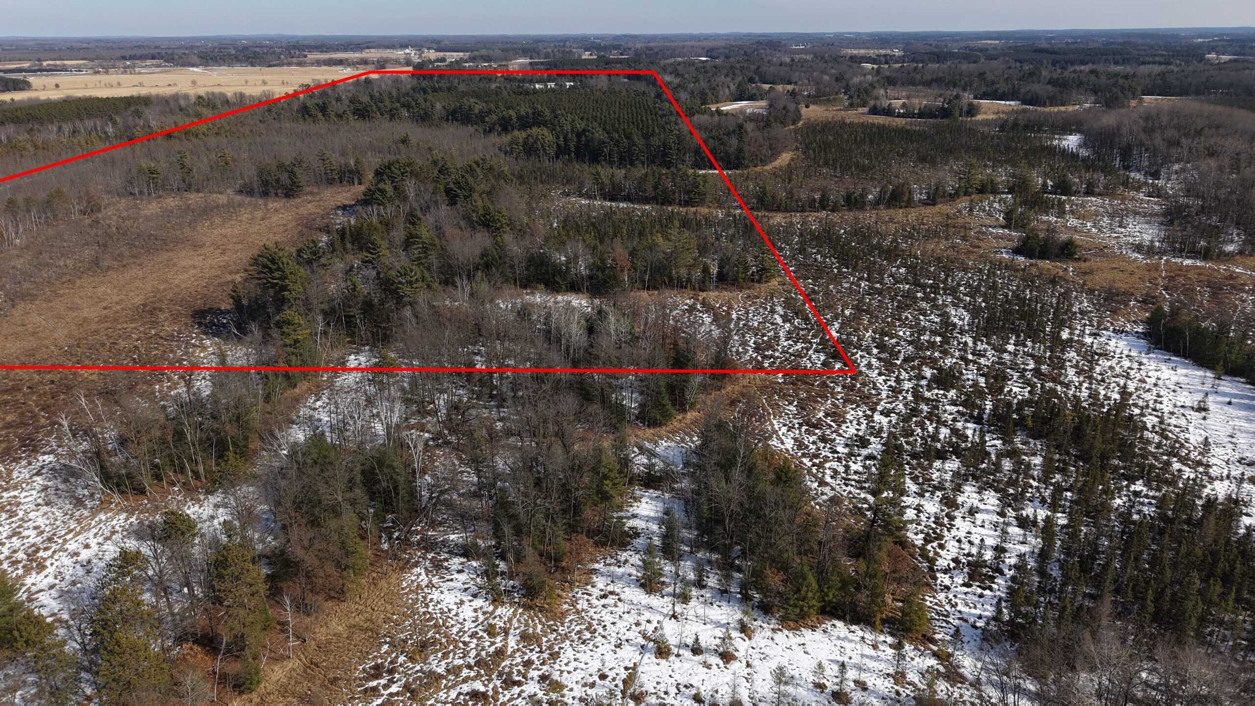 Portage County Wisconsin 80 Acres of Hunting Land for Sale