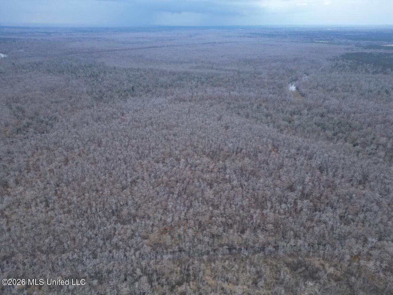431± Acres with Calcasieu River Frontage in Calcasieu Parish