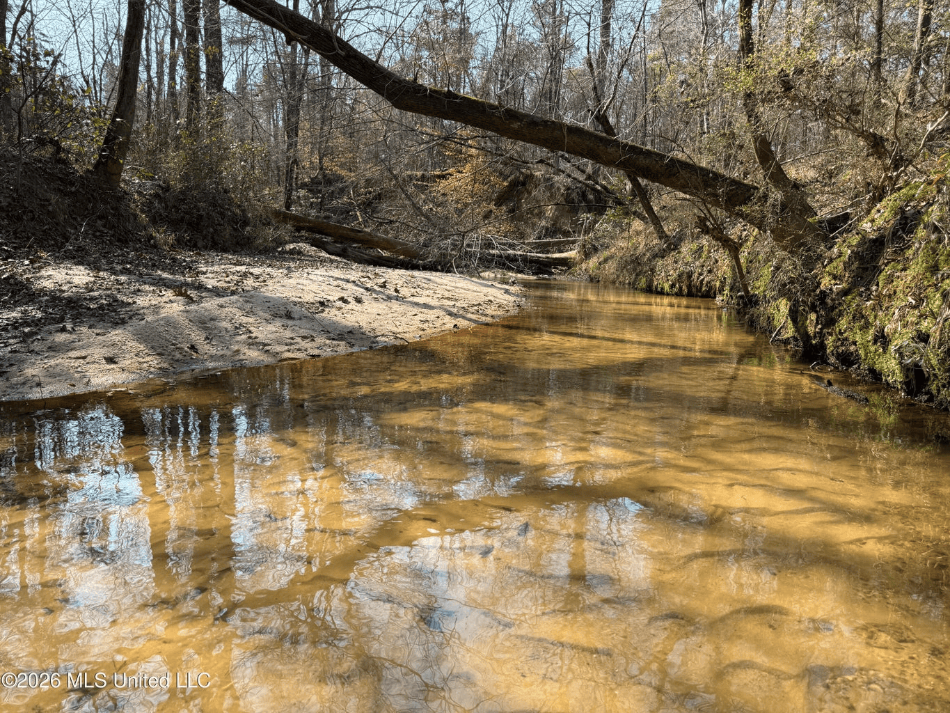 Land for Sale in Simpson County