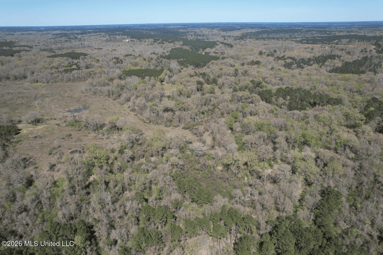 123± Acres Centreville MS on Chance Rd Amite County