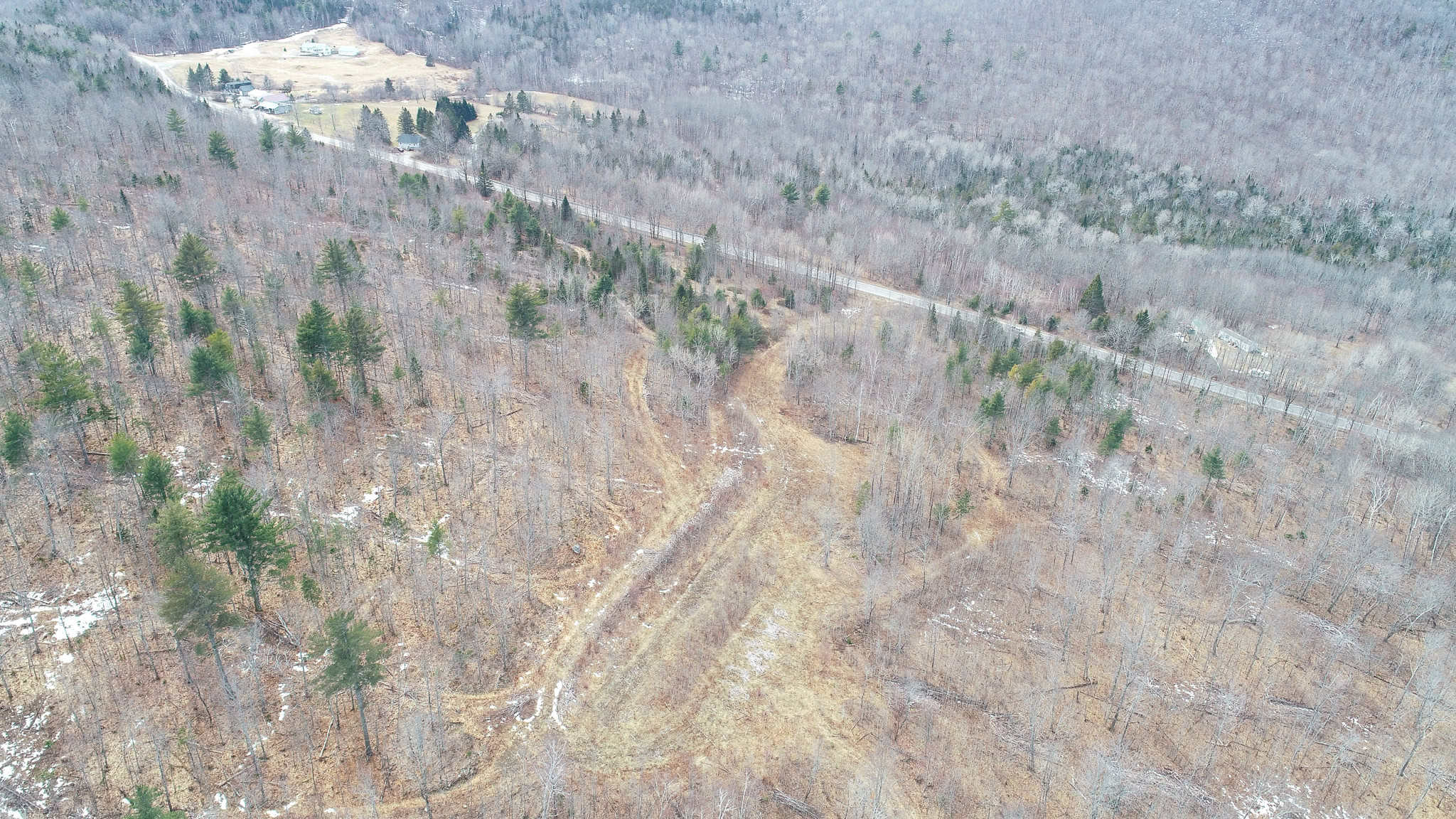 Expansive Mountain-View Acreage with Timber Value & Road Frontage