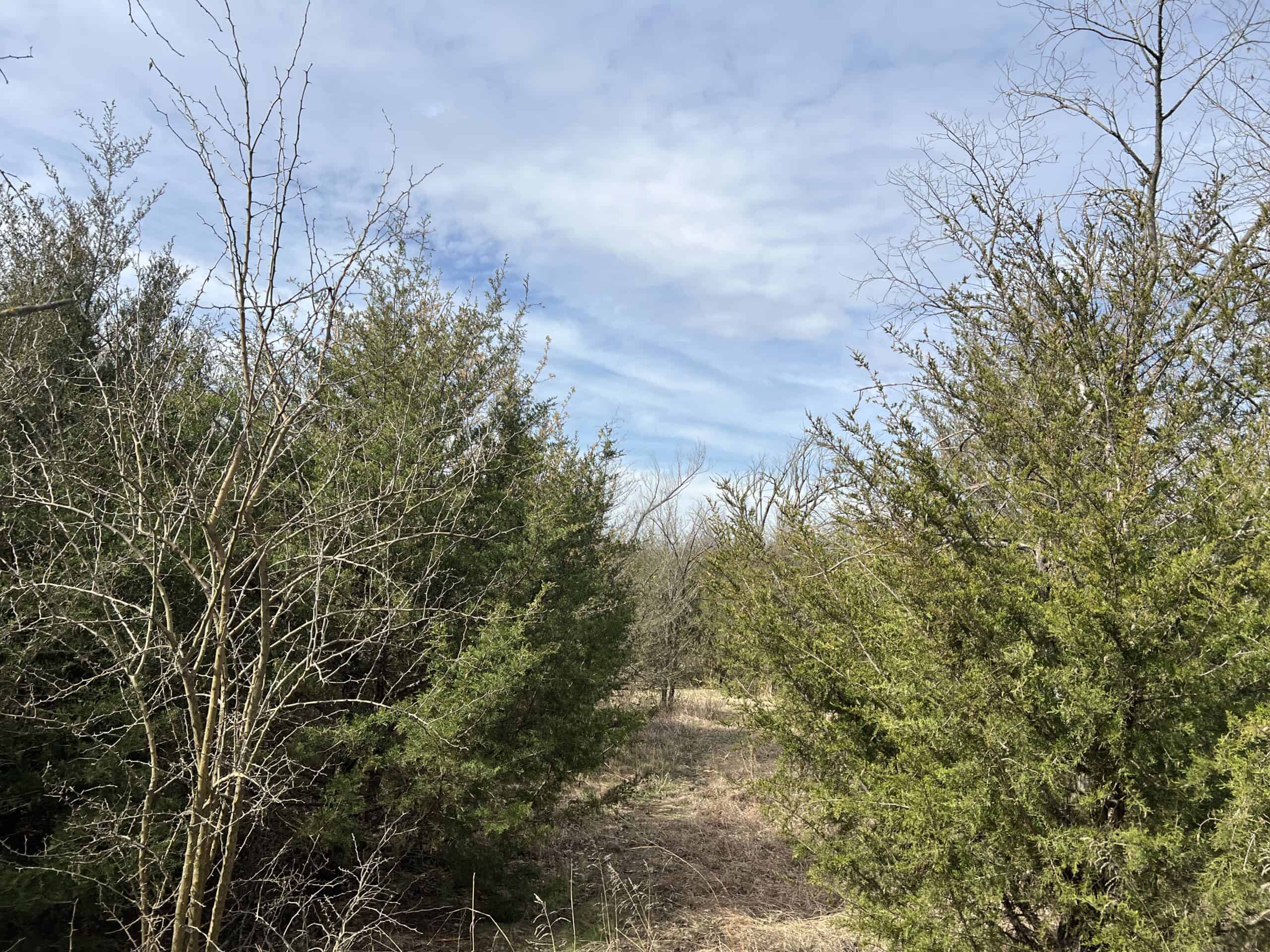 Exceptional 60-Acre Property Benton, KS