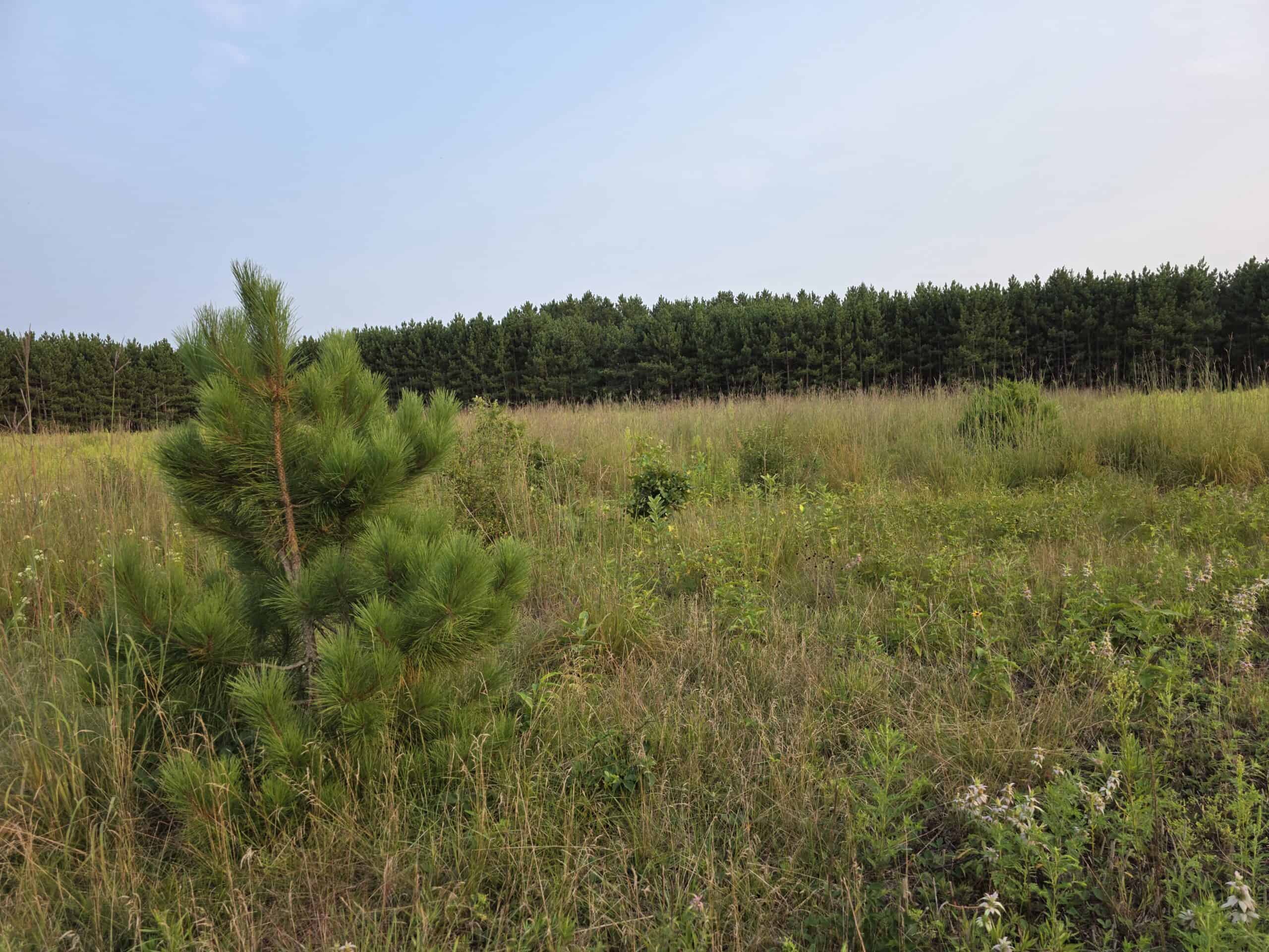 160± acre Monroe County property Located off dead end road,