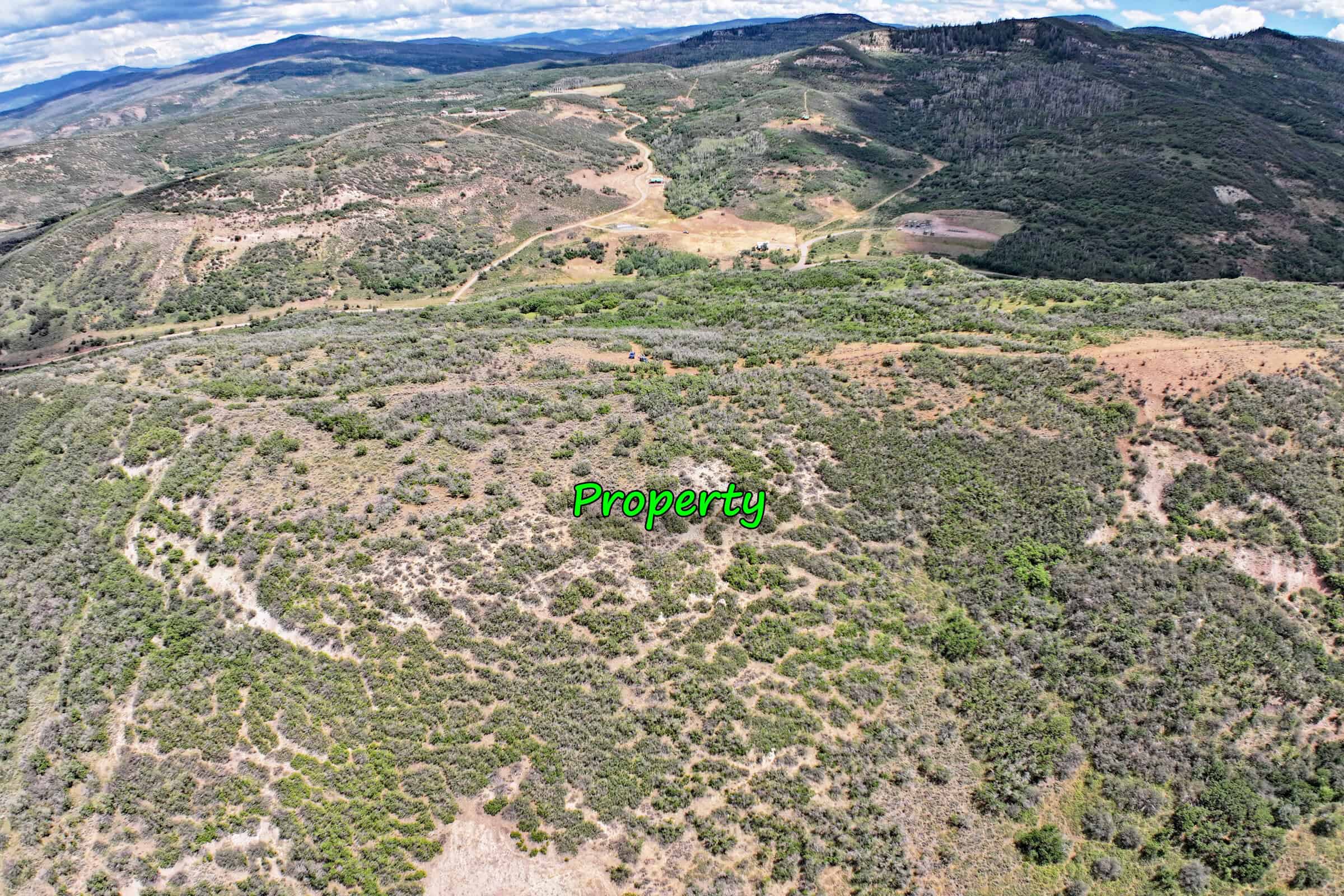 36 Acres in Harrison Creek, Collbran,  CO