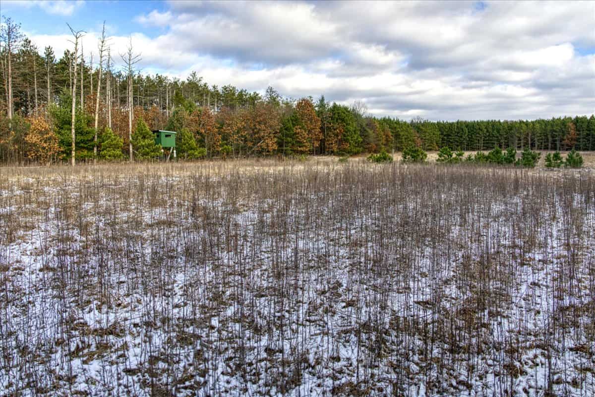 160± acre Monroe County property Located off dead end road,