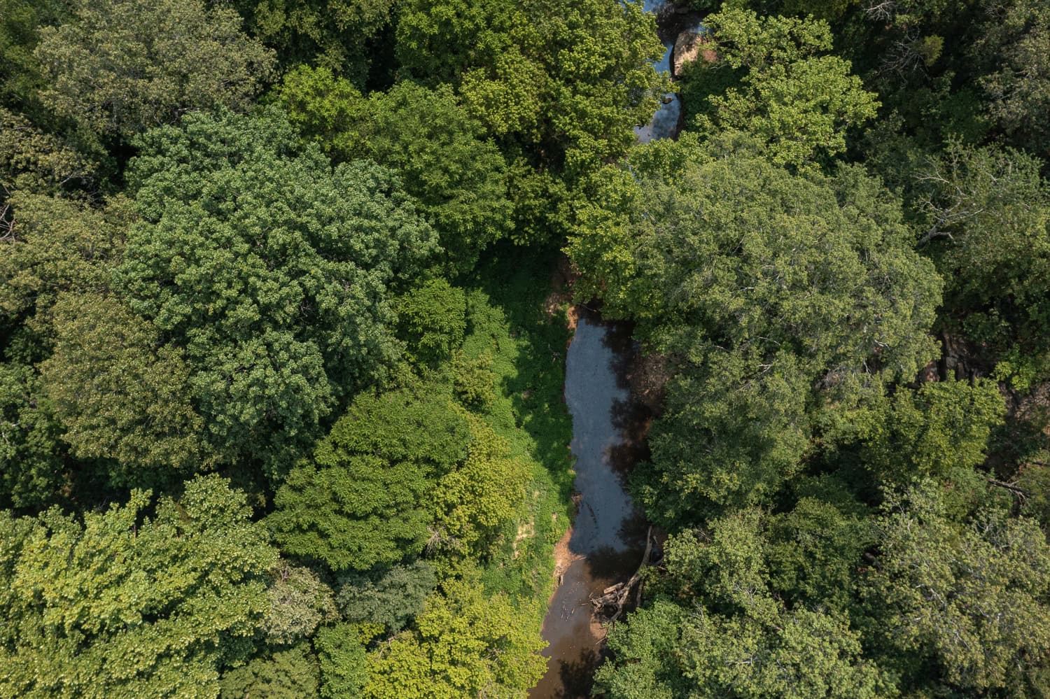 Catcher Ranch: 785 ± Acre Conservation Ranch & Trophy Whitetail Hunting Property Near Stuart, Oklahoma