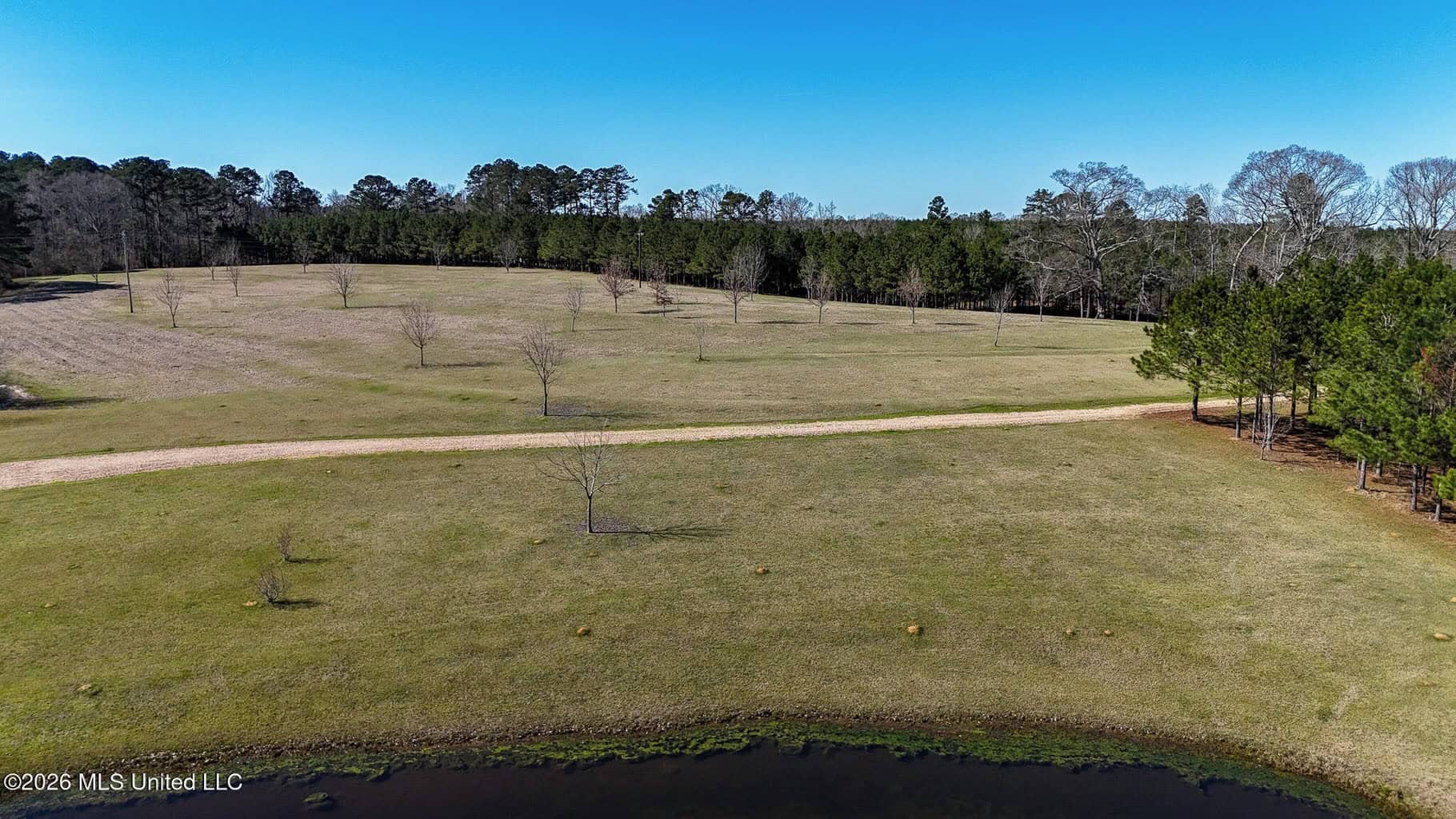 Amite County MS Turnkey 45 Acres