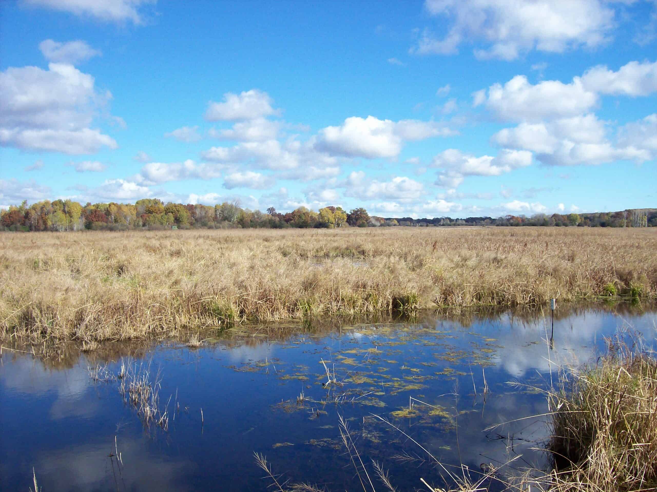 Trophy Whitetail Deer Hunting Columbia County Wisconsin