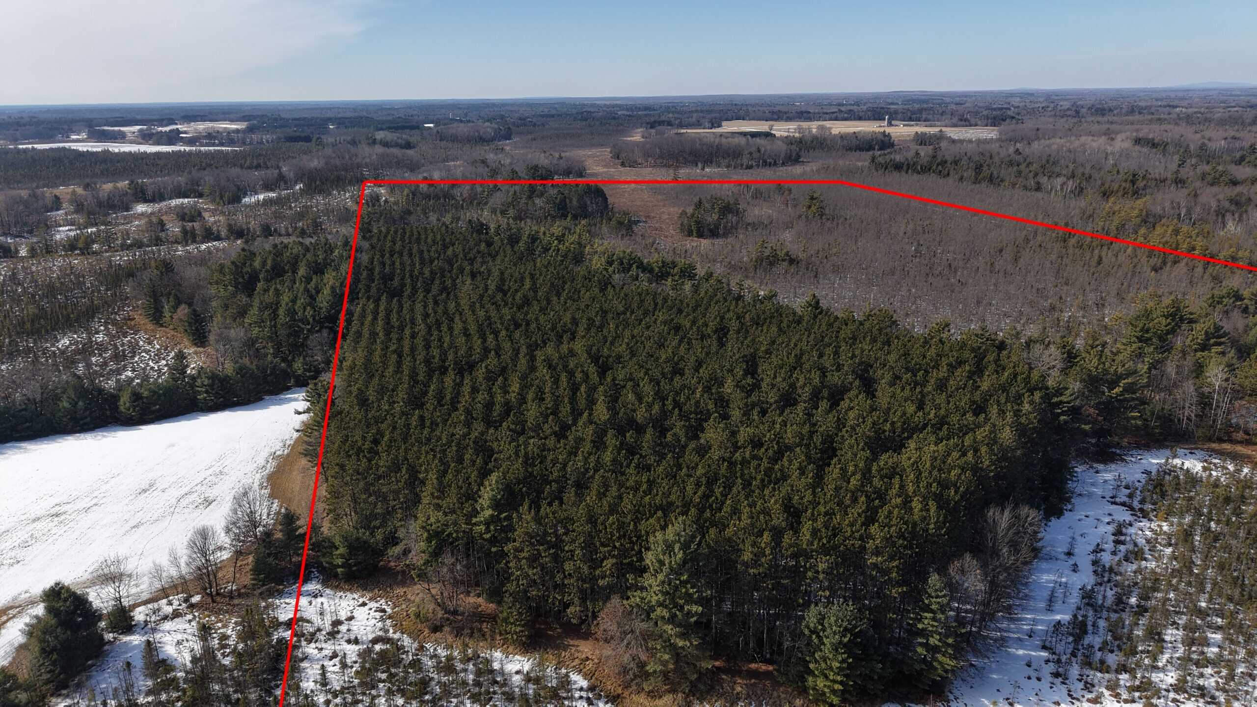 Portage County Wisconsin 80 Acres of Hunting Land for Sale