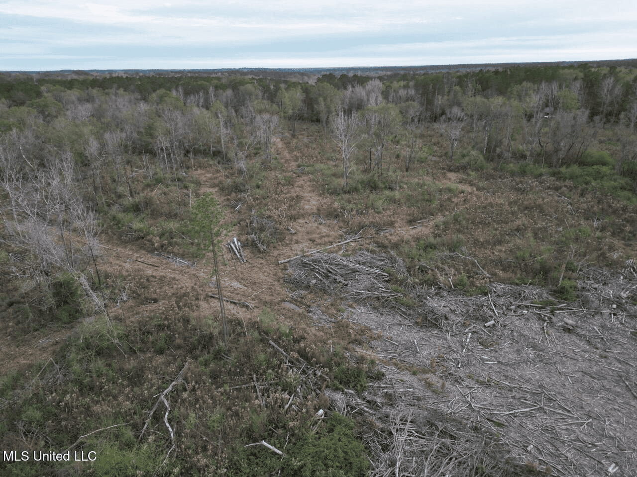 36 Acres in Pike County, Mississippi – Scenic Rural Retreat