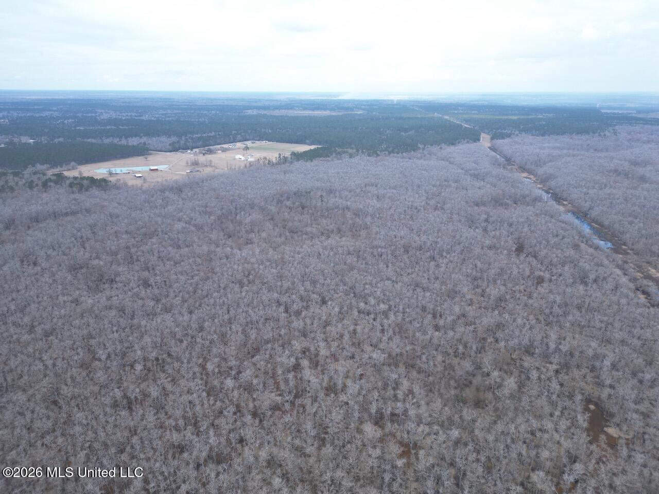 431± Acres with Calcasieu River Frontage in Calcasieu Parish