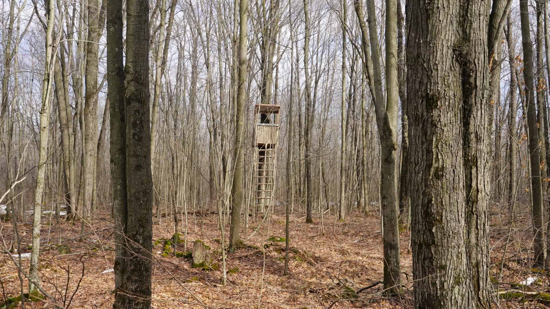40± acre hunting property outside of Mosinee in Marathon County