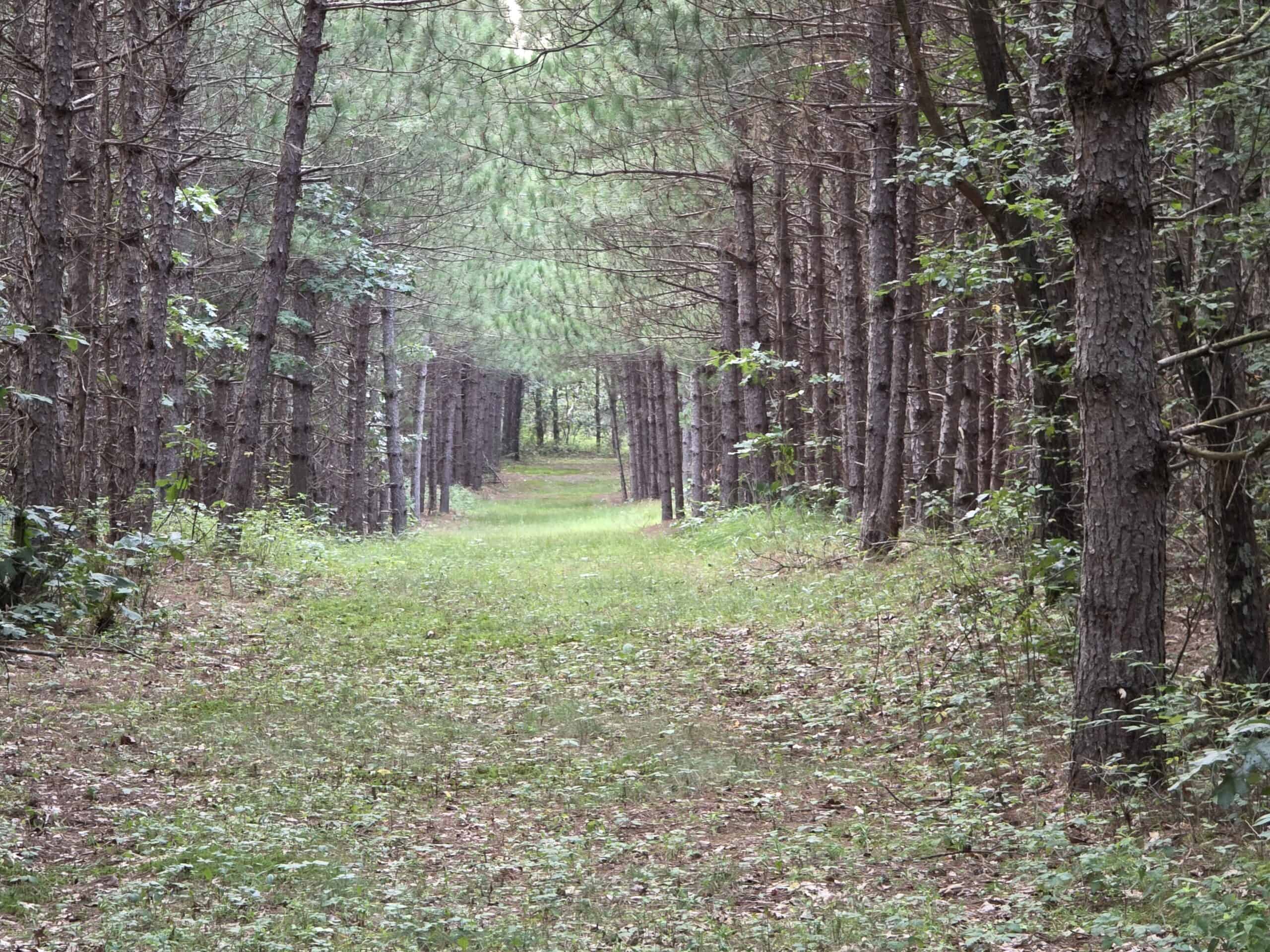 160± acre Monroe County property Located off dead end road,