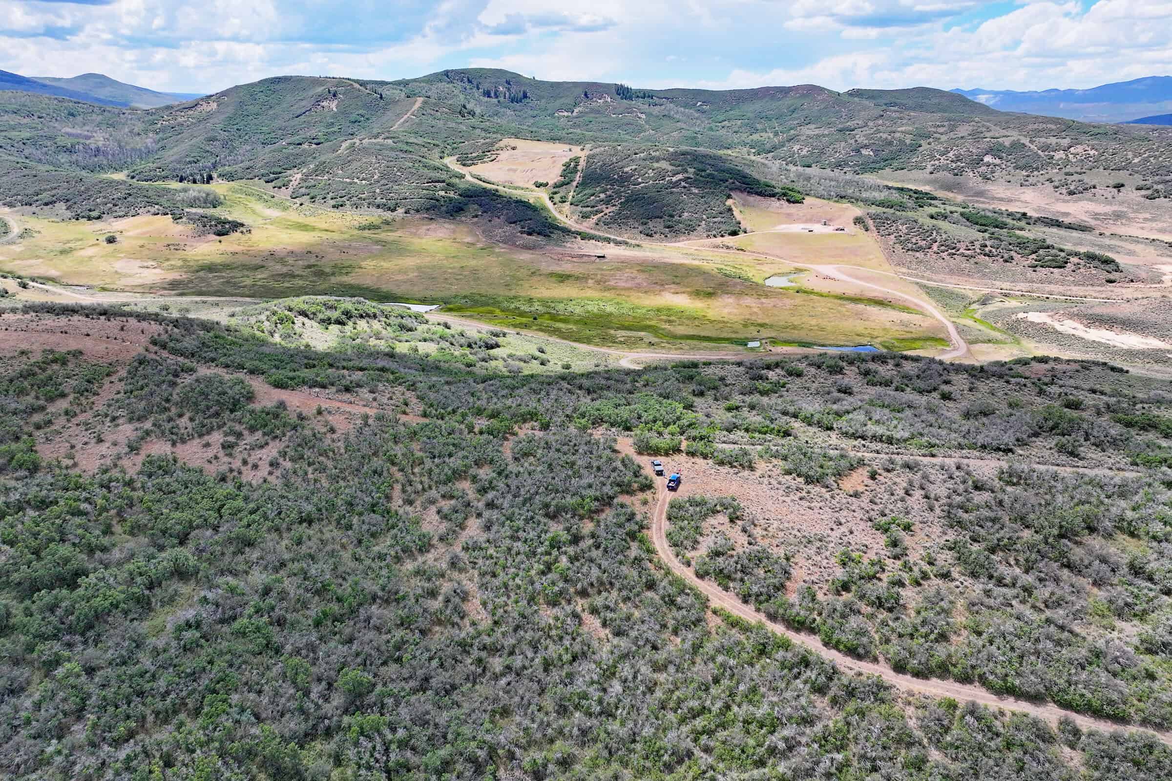 36 Acres in Harrison Creek, Collbran,  CO
