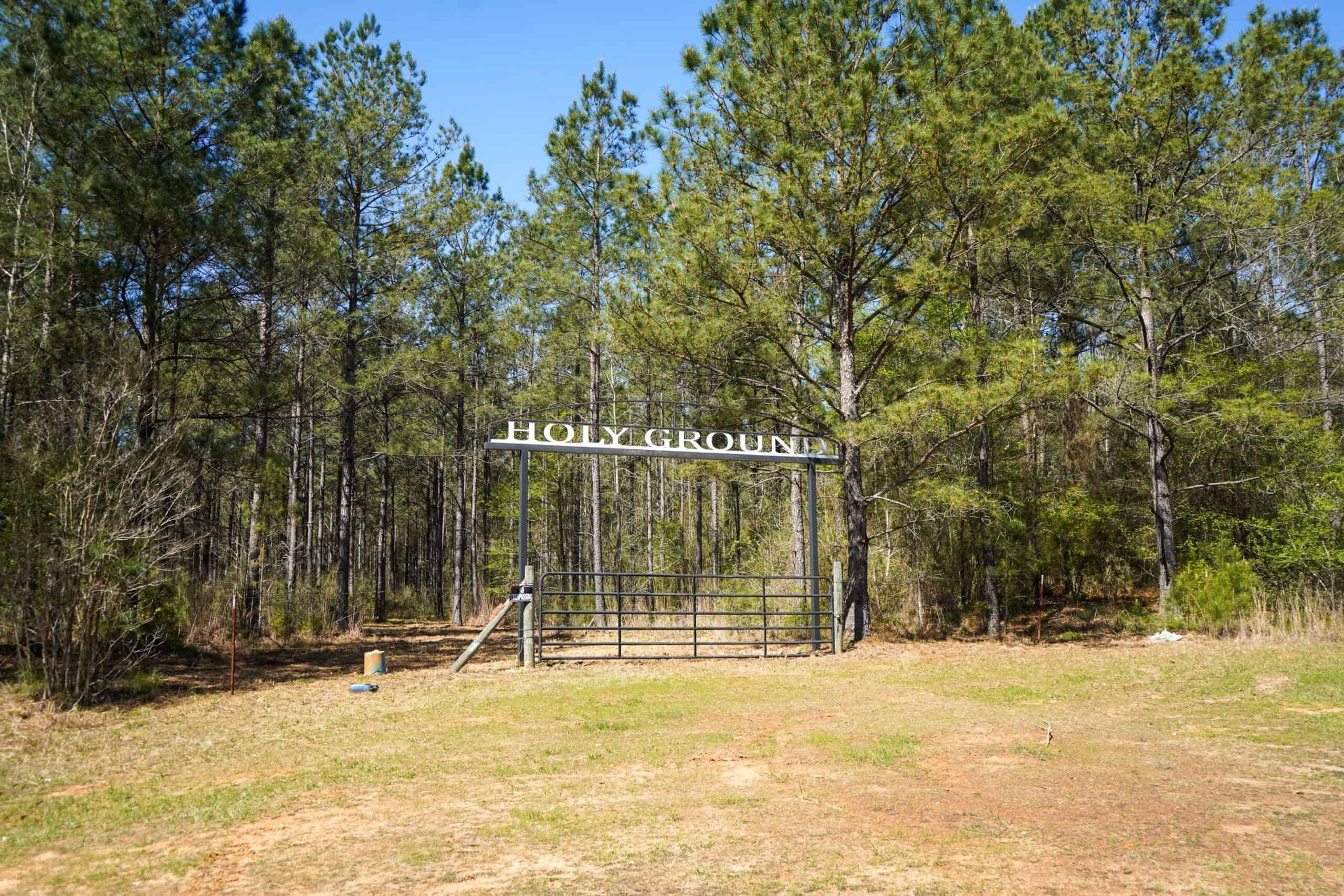 Northeast Lincoln Parish Timberland for Sale