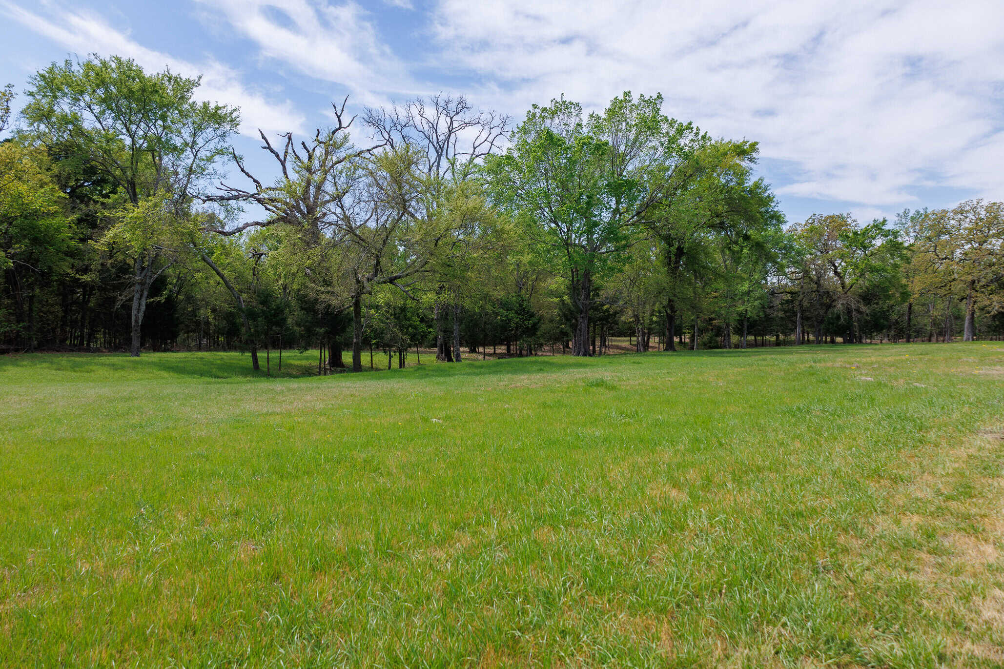 East Texas Recreational Ranch Near Ben Wheeler in Van Zandt County
