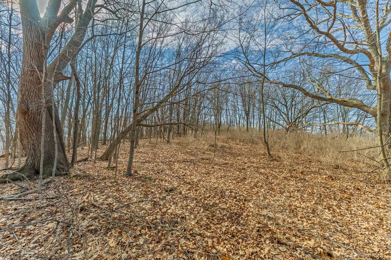 50 Acre Recreational -Hunting Land For Sale Richland County WI