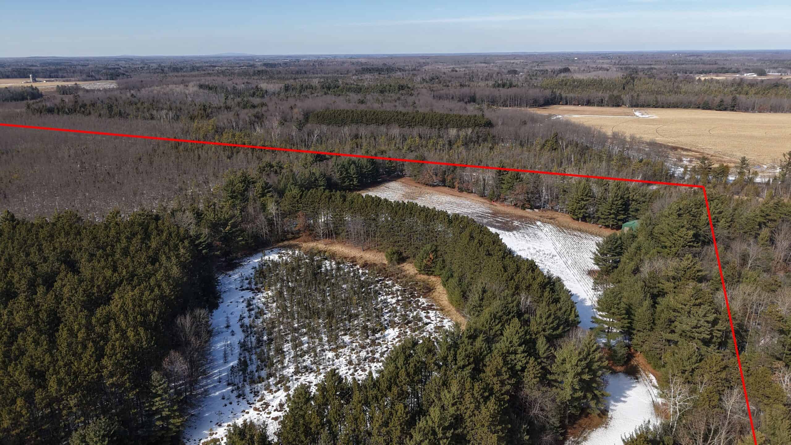 Portage County Wisconsin 80 Acres of Hunting Land for Sale