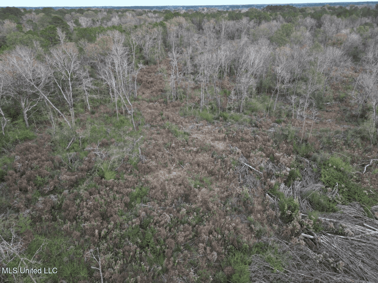 36 Acres in Pike County, Mississippi – Scenic Rural Retreat
