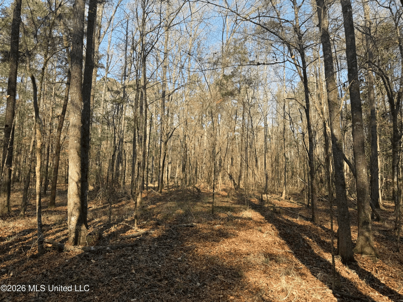 Land for Sale in Simpson County