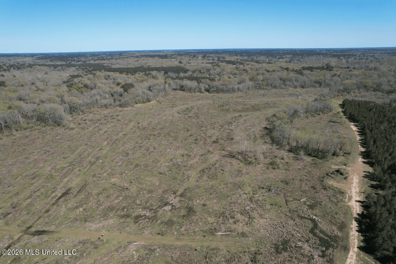 123± Acres Centreville MS on Chance Rd Amite County
