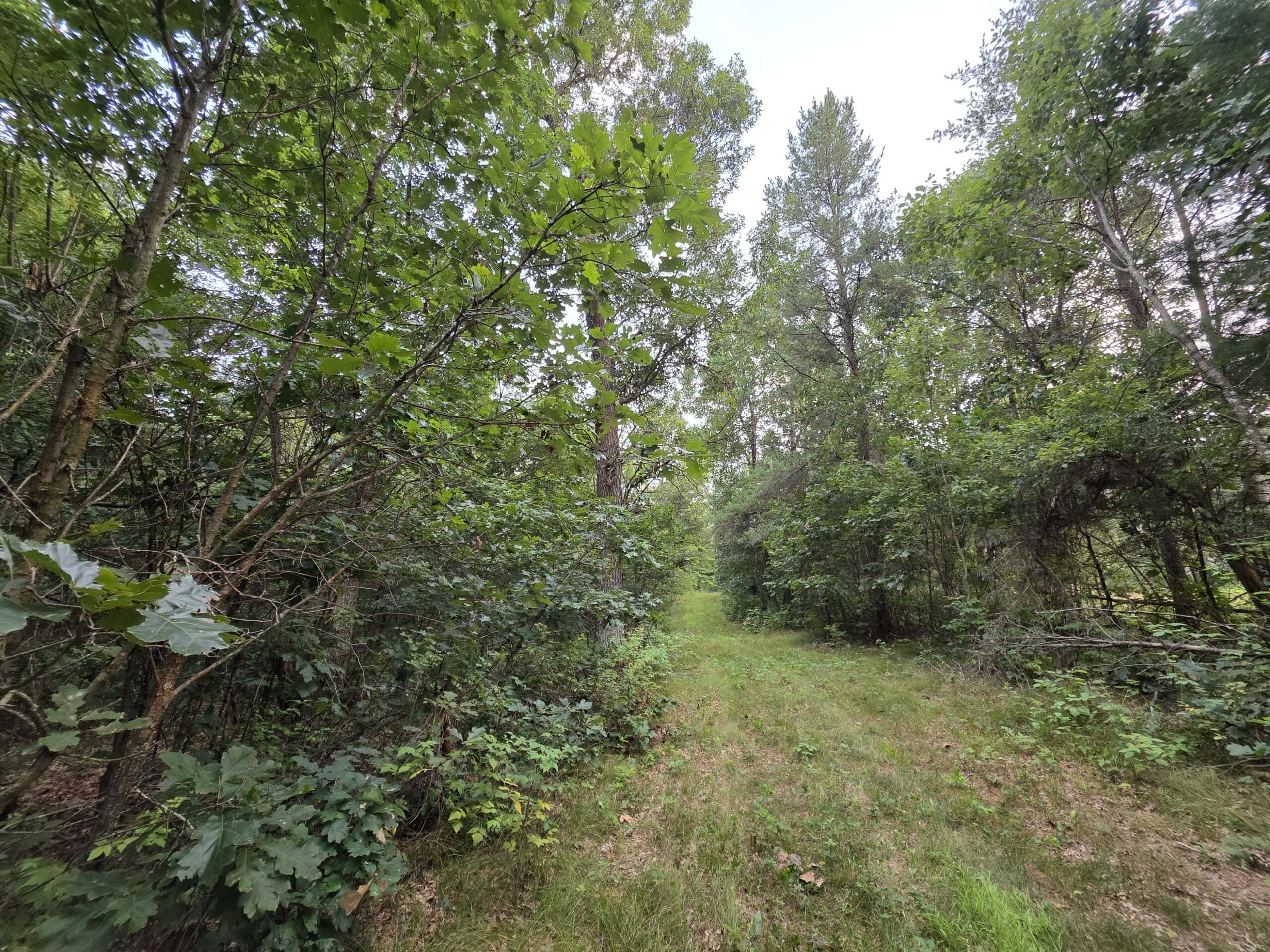 160± acre Monroe County property Located off dead end road,
