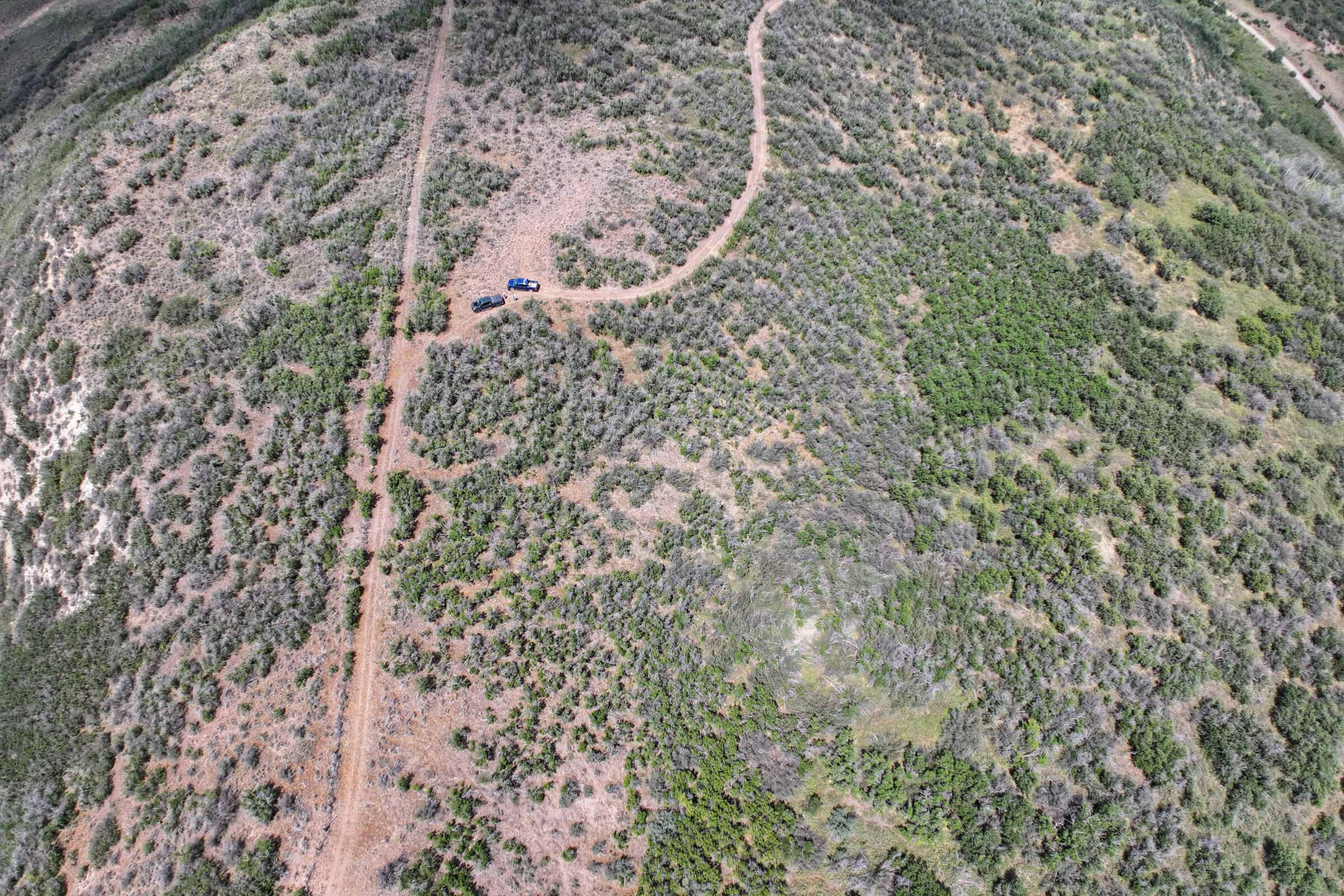 36 Acres in Harrison Creek, Collbran,  CO