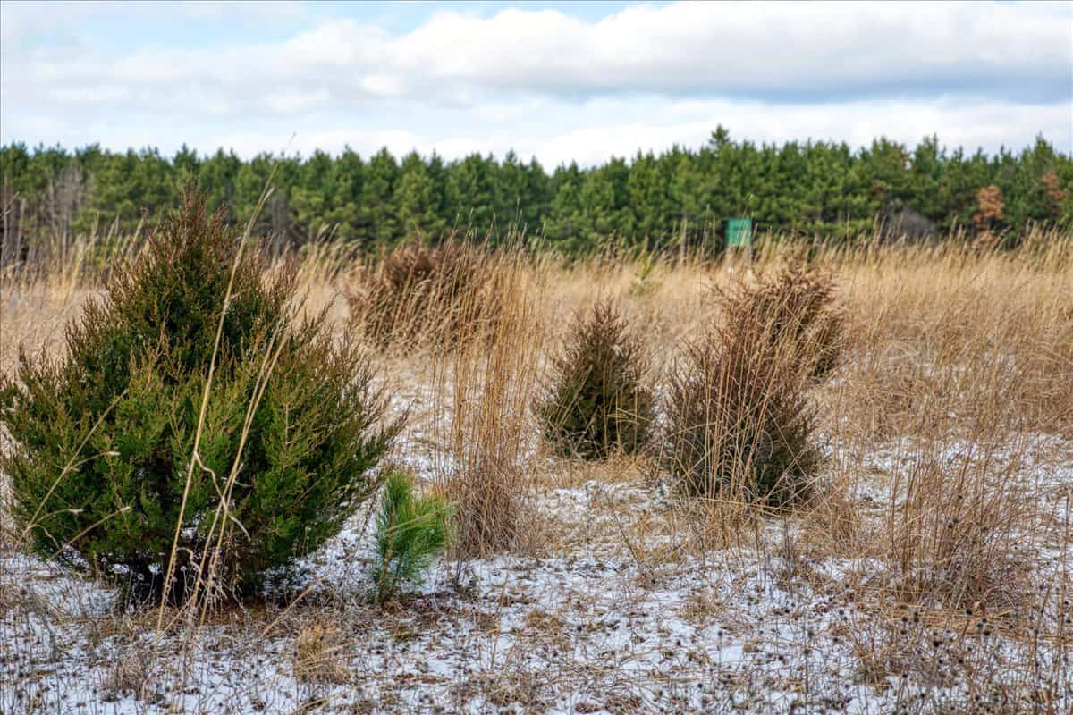 160± acre Monroe County property Located off dead end road,