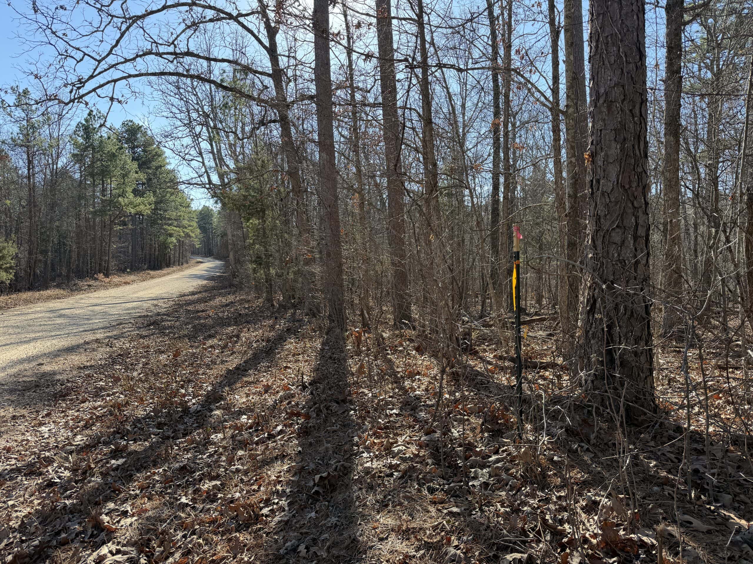 Land for Sale in Salem, Missouri – Parcel 2