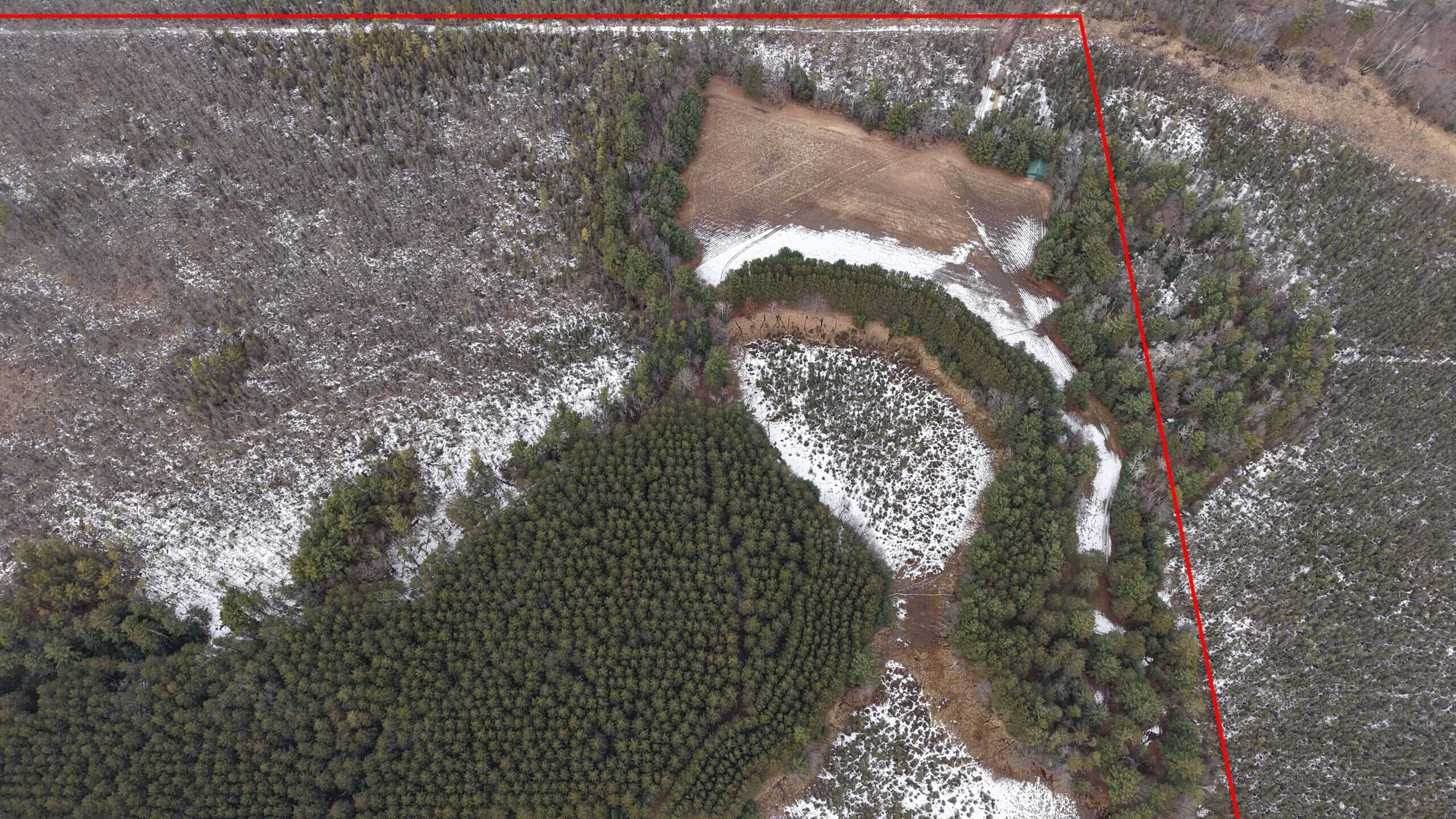 Portage County Wisconsin 80 Acres of Hunting Land for Sale