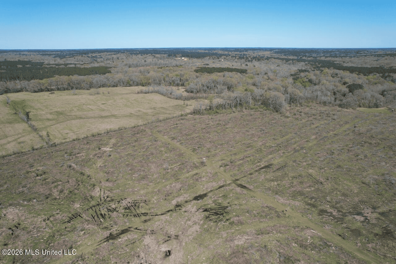 123± Acres Centreville MS on Chance Rd Amite County