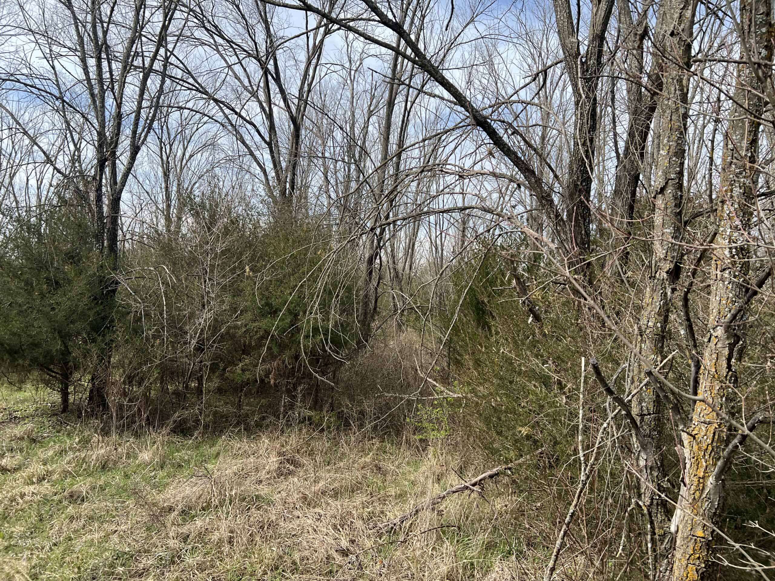 Exceptional 60-Acre Property Benton, KS